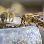 博亿娱乐:为您带来精彩纷呈的游戏体验与乐趣 j7z1b