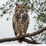 半岛娱乐彩票平台:如何选择适合自己的游戏项目与投注策略 l0i93b5kb