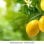 博猫娱乐在线注册流程详解,助你轻松畅玩游戏世界 zix8ry